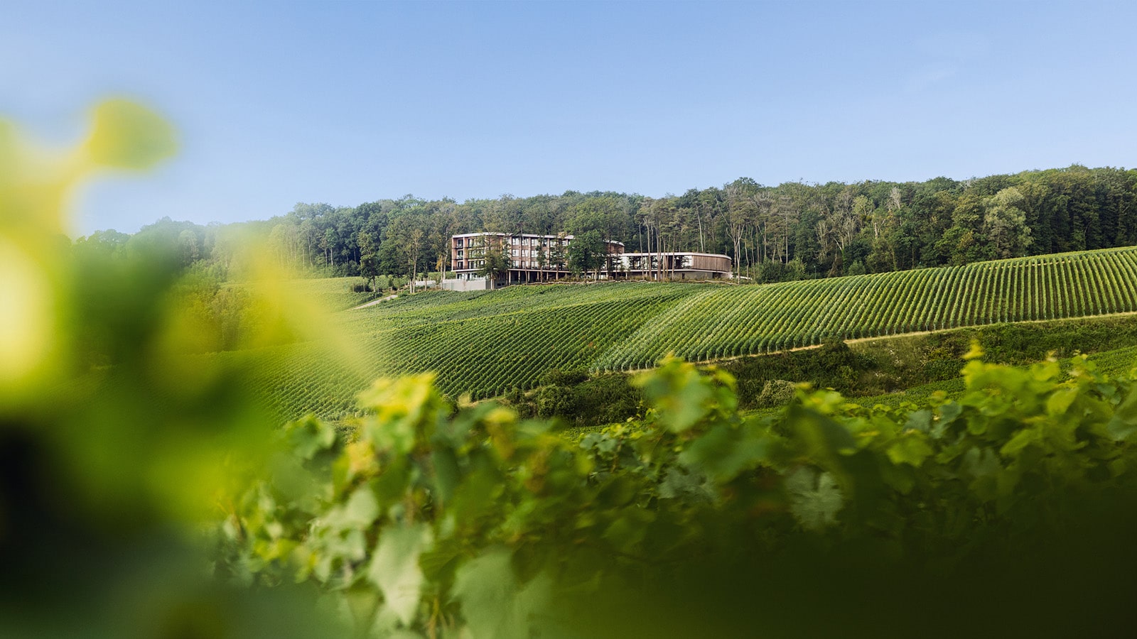 LOISIUM Wine & Spa Hotels